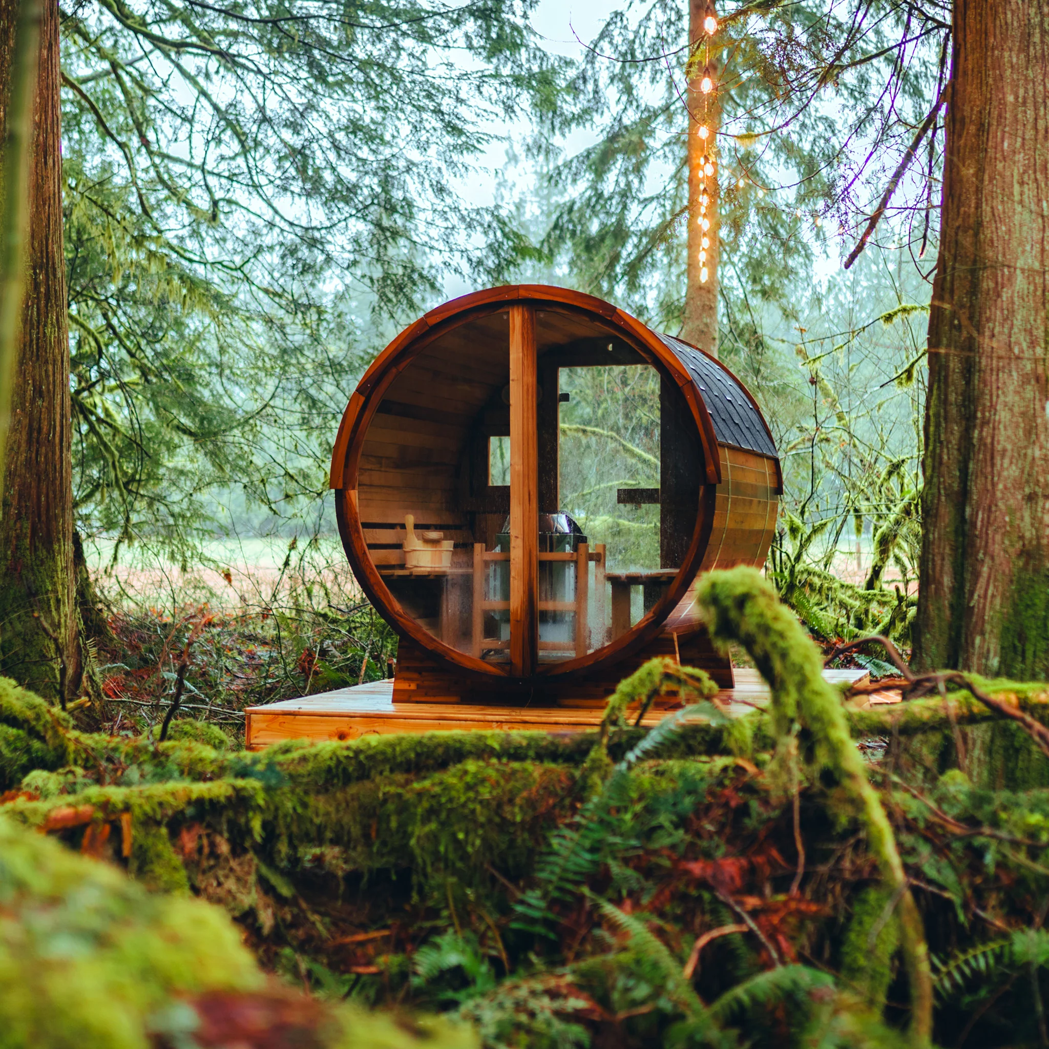 Vista Outdoor Sauna x Denali Cold Plunge - Image 5